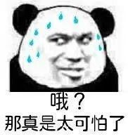 1630026855978554.jpg 0009.jpg