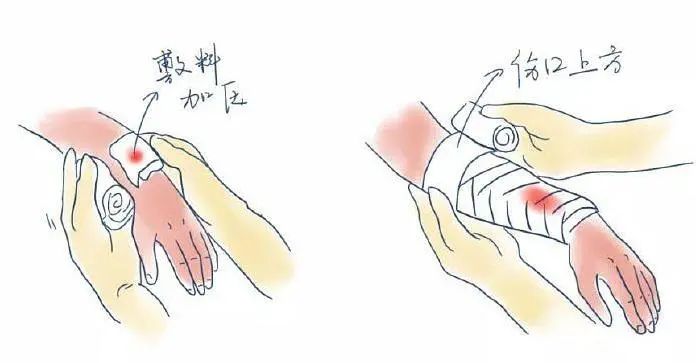 1630026873138490.jpg 0012.jpg