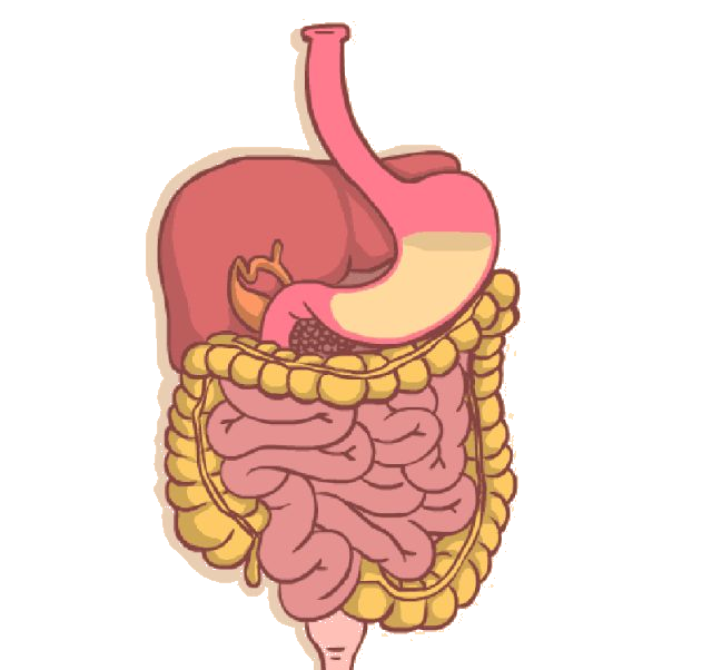 1630889480715701.png 0003.png