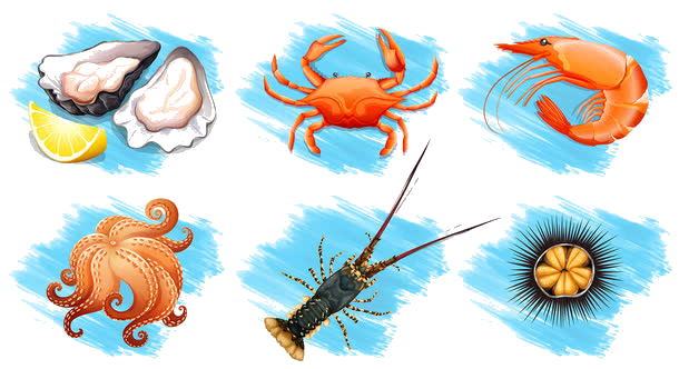 1630889779809220.png 0026.png