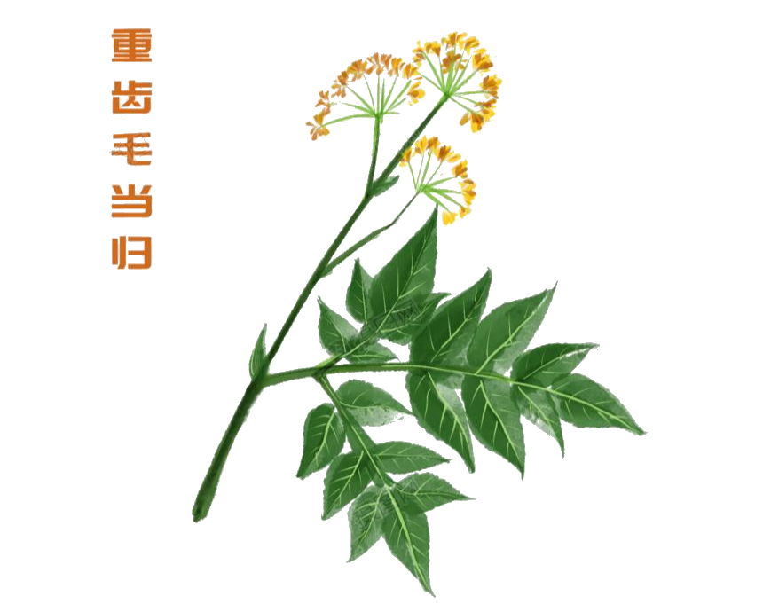 1630889784569212.png 0029.png