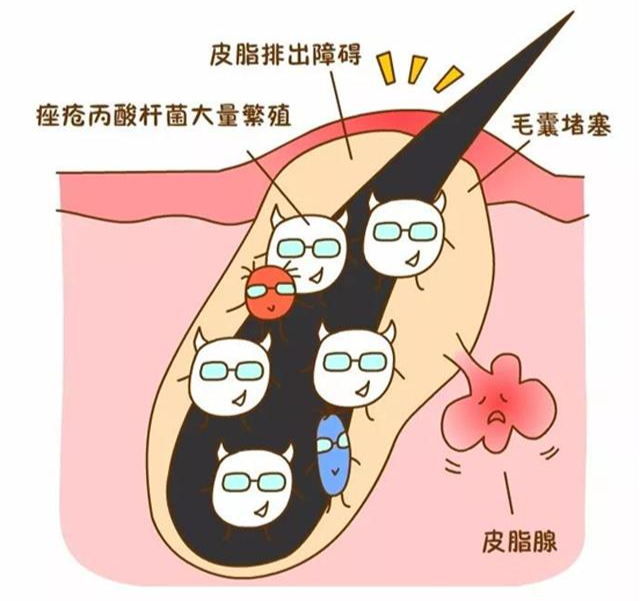 1630891728603552.png 0003.png