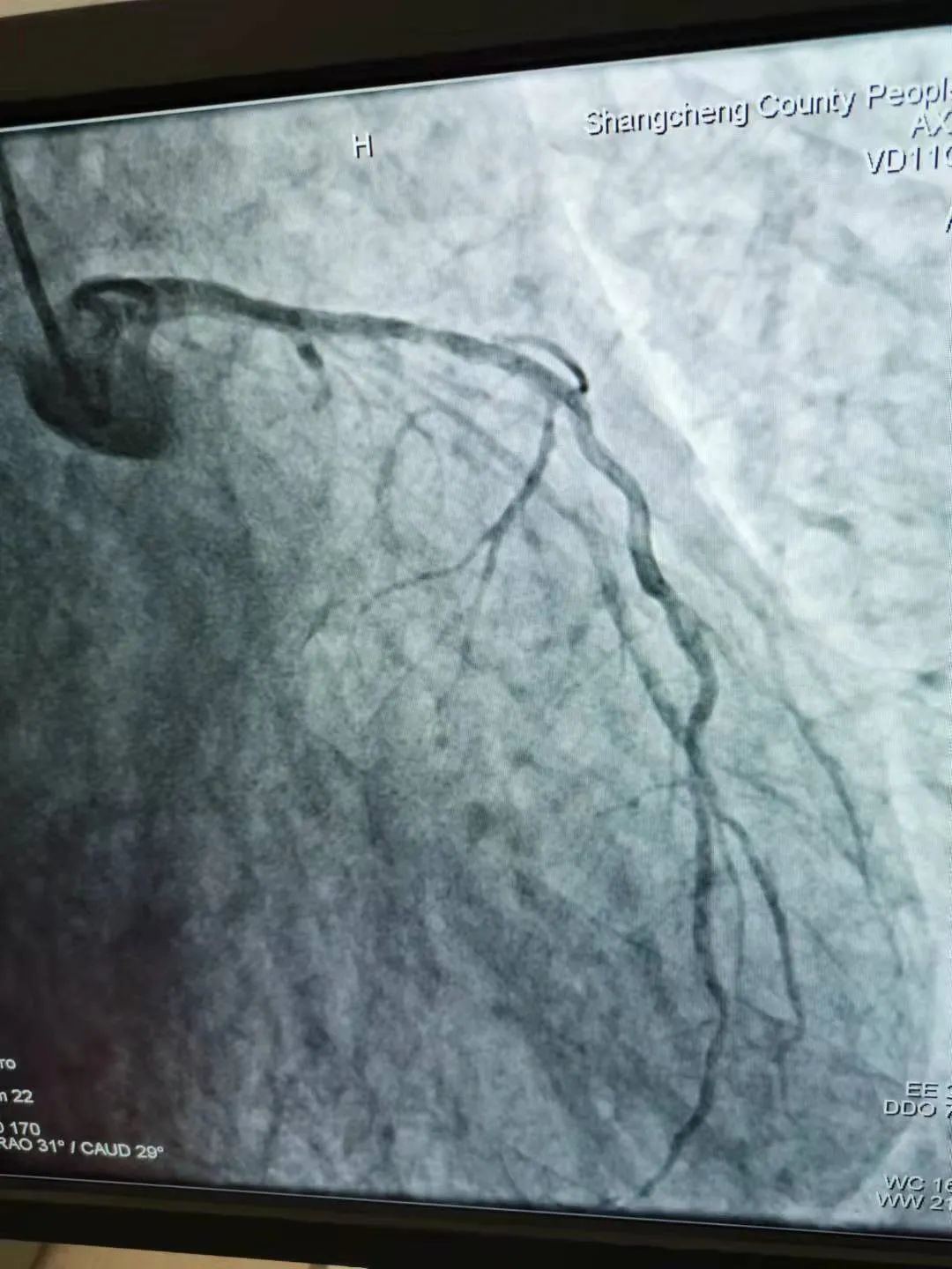 1631342150272434.jpg 0004.jpg