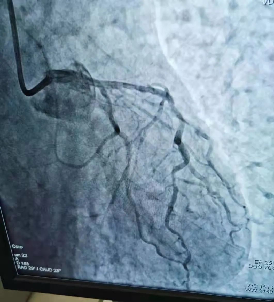 1631342156298420.jpg 0005.jpg