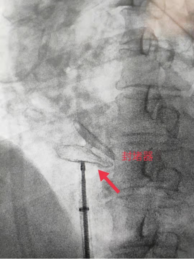 1638942935543585.jpg 0005.jpg