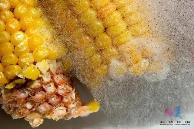 1639462712946615.jpg 0002.jpg