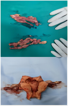 1670811257892474.png vQDDGBrSVcibIAWjQ71dXjs00hOwXLiarafpCgZFibvcymIocOOvUXBiaDNoeRGbcsBOm22iaSJyJpgbuG27lzvFbPg.png