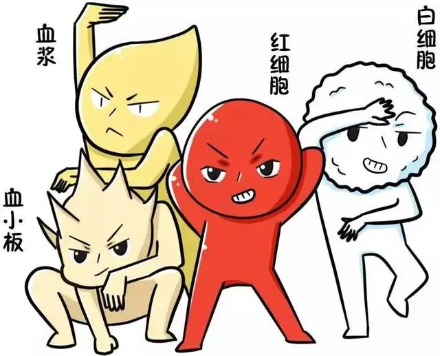 1691801757694292.jpg 1691801757694292.jpg